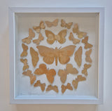 Little Golden Butterflies