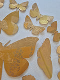 Little Golden Butterflies