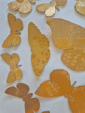 Little Golden Butterflies