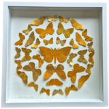 Golden Butterflies-medium