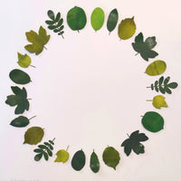 Leaves-circle