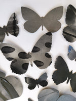 Black Butterflies- framed Small